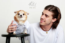 Load image into Gallery viewer, Montaigne Pets Mini-Dress (Black / Brown / White) | Dog & Cats Clothing